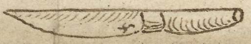  Book III, Chapter 7b, No. 108 