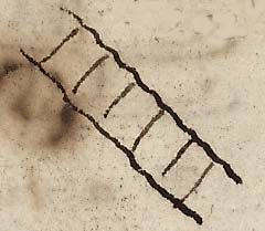  Book III, Chapter 8a, No. 24 