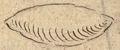  Book III, Chapter 9b, No. 85 