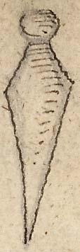  Book III, Chapter 9b, No. 116b