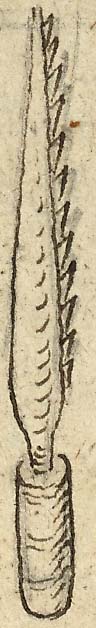  Book III, Chapter 9b, No. 125b