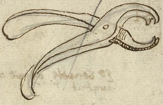  Book III, Chapter 11a, No. 29 