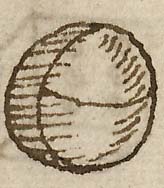  Book III, Chapter 16a, No. 41 