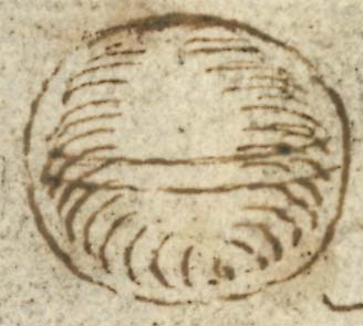  Book III, Chapter 16a, No. 77 