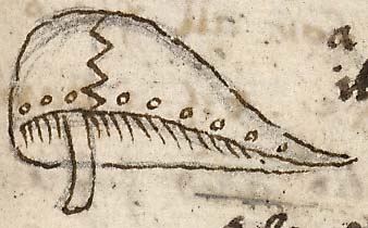  Book III, Chapter 17a, No. 6 