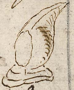  Book III, Chapter 17a, No. 11 