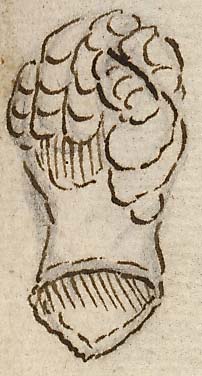  Book III, Chapter 17a, No. 29 