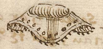  Book III, Chapter 17a, No. 36 