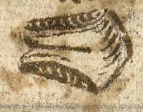  Book III, Chapter 17a, No. 36b