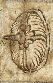  Book III, Chapter 17a, No. 39 