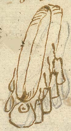  Book III, Chapter 18a, No. 61 