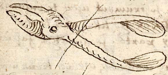  Book III, Chapter 18b, No. 123 