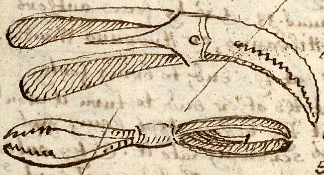  Book III, Chapter 18b, No. 125 