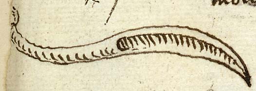  Book III, Chapter 18b, No. 139 