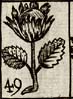 Proof plate