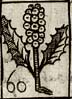 Proof plate