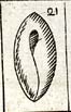 Proof plate