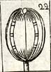 Proof plate