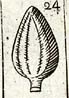 Proof plate